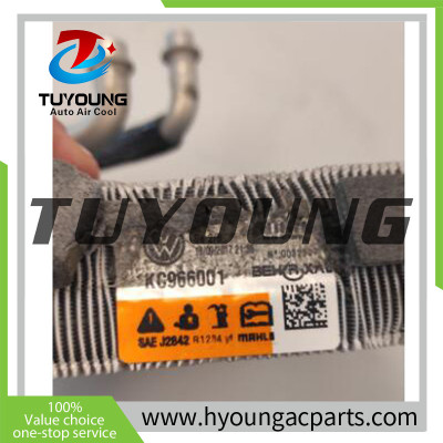 Automotive AC evaporrators VW Polo/Derby/Vento Seat Leon/Ibiza/ST HY-ET488 2Q1816105B  6EA898105 2Q0816679C 2Q1816103C