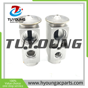Best quality Prime aluminium Auto AC expansion valves for MAN TGL / TGM / TGA / TGS / TGX 81.61967-0024  81619670024