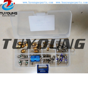 China manufacture best quality Auto A/C valve core one box