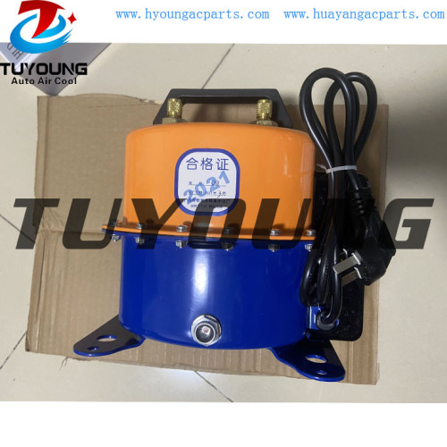 wholesale price Dual propose vacuum pump / Car Air conditioner detects air leakage tools with sealed cap, power cable, filter