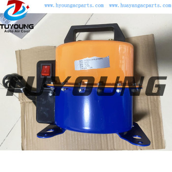 wholesale price Dual propose vacuum pump / Car Air conditioner detects air leakage tools with sealed cap, power cable, filter