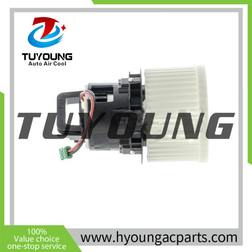 TUYOUNG sturdy and durable Auto ac blower fan motor for PEUGEOT 308 508 2013-2021 1610497180  AB281000P