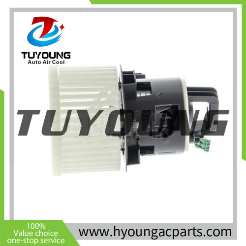 TUYOUNG sturdy and durable Auto ac blower fan motor for PEUGEOT 308 508 2013-2021 1610497180  AB281000P