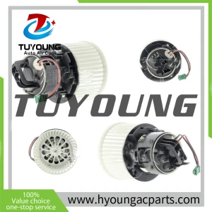 TUYOUNG sturdy and durable Auto ac blower fan motor for PEUGEOT 308 508 2013-2021 1610497180  AB281000P