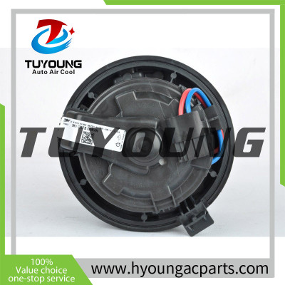 China manufacture cheap price Auto ac blower fan motor for Dacia Duster 272104185R  883698