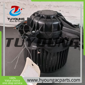 China factory direct sales Auto A/C Blower Motor for RENAULT LATITUDE 2.0 dCi 150 (L70H) Diesel 272100800R