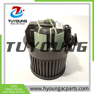 TUYOUNG Auto ac blower fan motor Peugeot 308 Citroen C4 2010-2013 1.6 2.0L 6441CZ  715223  87399