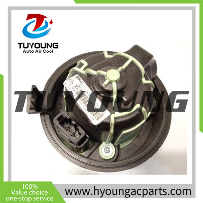 TUYOUNG Auto ac blower fan motor Peugeot 308 Citroen C4 2010-2013 1.6 2.0L 6441CZ  715223  87399