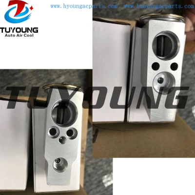 TUYOUNG superior quality auto ac expansion valve fit 531-7 R134a,brand new auto ac parts