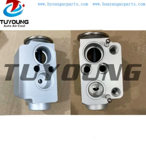 China factory wholesale Auto ac expansion valve BMW 128i 135i X1 X3 320i 64119226078 64119182512 64116934406