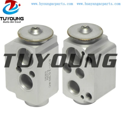 China factory wholesale Auto ac expansion valve BMW 128i 135i X1 X3 320i 64119226078 64119182512 64116934406