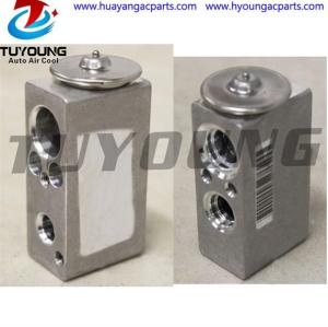 China factory supply Auto ac expansion valve Renault MEGANE III SCENIC III 7701209875 7701208762 7701060024