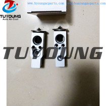 TUYOUNG produce auto AC expansion valve Suzuki Grand Vitara II 9543164J80 39278 EX 10280C
