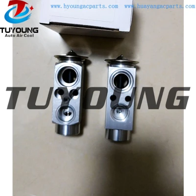 TUYOUNG produce auto AC expansion valve BMW X5 X6 II 64119187630 6 968 202 64116968202 64119187630 9 187 630  8UW 351 234-621