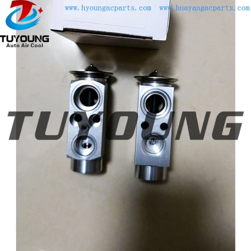 TUYOUNG produce auto AC expansion valve BMW X5 X6 II 64119187630 6 968 202 64116968202 64119187630 9 187 630  8UW 351 234-621