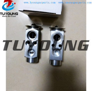 TUYOUNG produce auto AC expansion valve BMW X5 X6 II 64119187630 China factory manufacture