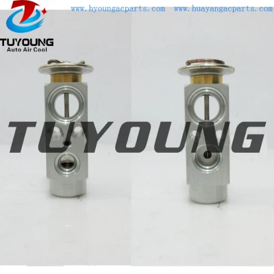 Distributor high quality Auto air con ac expansion valves DAF MAN truck 81619670020 1660332