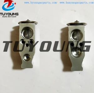 TUYOUNG favourable price auto ac expansion valve Suzuki R wagon 9541182K00