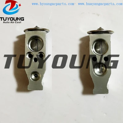 TUYOUNG favourable price auto ac expansion valve Suzuki R wagon 9541182K00