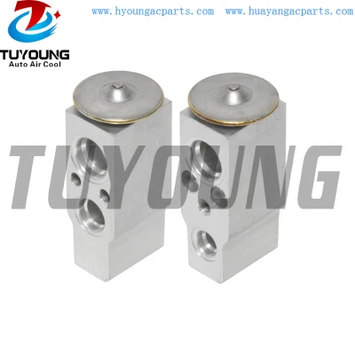 China product and high quality auto Block Expansion Valve fit Ford Expedition Lincoln Navigator 5L1Z19849AA EX 9711C 5L1Z19849BA