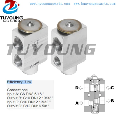 high efficiency auto ac expansion valve Iveco Scania Case Massey 320501 3311533M91 6005025087 7701040493