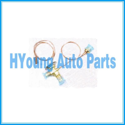 TUYOUNG long service life Expansion Valve Flare 2 Capillary 510x420mm ,brand new Air Conditioning System