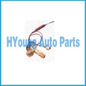 TUYOUNG not easy to damage O'Ring Expansion Valve 2 Capillary Mitsubishi Pajero Sport