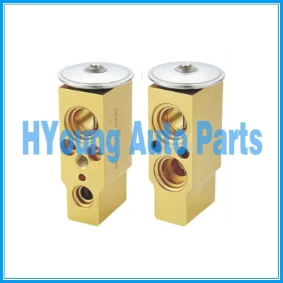 TuYoung new brand long service for Iveco Auto A/C Expansion Valve , Block Expansion Valve
