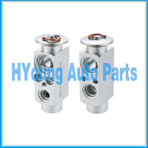 TuYoung high quality for Chevrolet A/C Expansion Valve , Block Expansion Valve