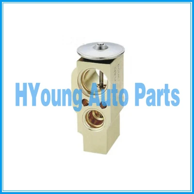 Car A/C air conditioning compressor expansion valve for VW Touran air conditioner