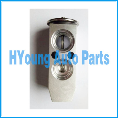 China factory wholesale auto ac compressor Control Valve fit for Hyundai Terracan 97030H1718