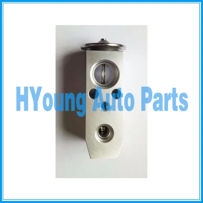 China supply Car air Compressor expansion valve fit for Hyundai Terracan 97030H1718