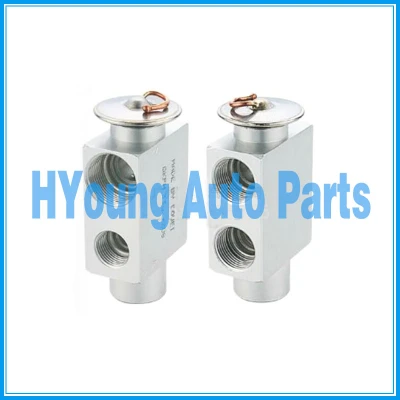 China supply Car air expansion valve fit aluminum valve for VW Santana 2000