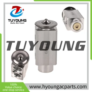 China factory wholesale auto ac expansion valves for Peterbilt Volvo International L6 8.9 10.8 11.9 12.9L 2003-2005 3660853C2 3660853-C2