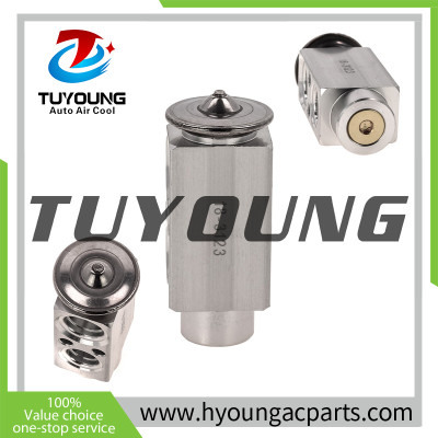 China factory wholesale auto ac expansion valves for Peterbilt Volvo International L6 8.9 10.8 11.9 12.9L 2003-2005 3660853C2 3660853-C2