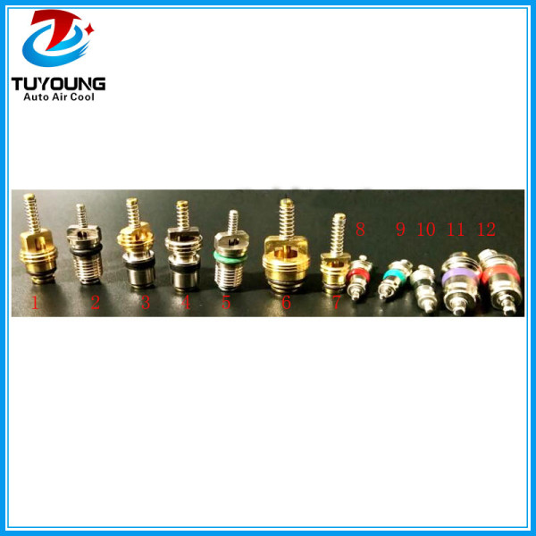 China manufacture high quality auto air con system VALVE CORE R12 & R134A STANDARD PORTS