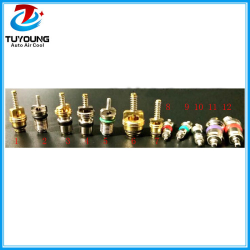 China manufacture high quality auto air con system VALVE CORE R12 & R134A STANDARD PORTS