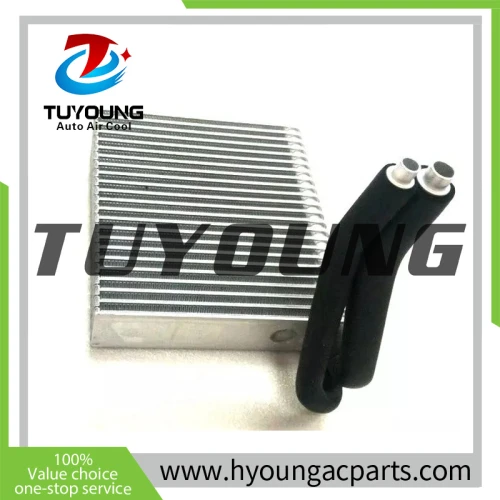 TUYOUNG superior quality Auto ac Evaporator for Para mercedes-benz A160/A180/B180/B200/W169/W245 2004-2012 1698300758 A1698300758