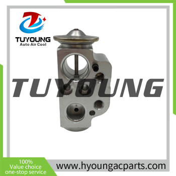 stable performance high quality auto ac expansion valve for VW Transporter/Caravelle 2003-2015