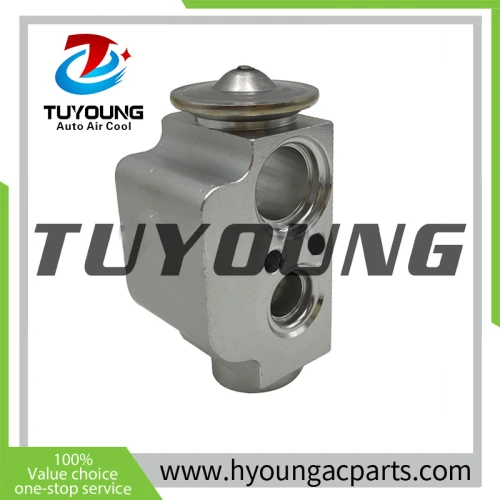 stable performance high quality auto ac expansion valve for VW Transporter/Caravelle 2003-2015