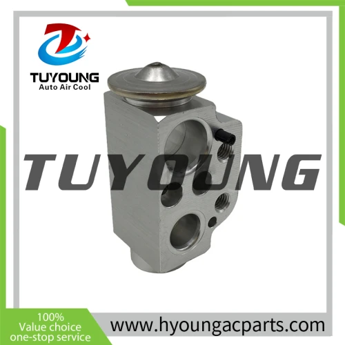 stable performance high quality auto ac expansion valve for VW Transporter/Caravelle 2003-2015
