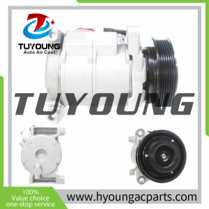 TUYOUNG best selling 10S20H Auto ac Compressor for Chrysler Voyager/Dodge karavan 3.3 3.8L 2001-2007 05005441AG 05005441AA