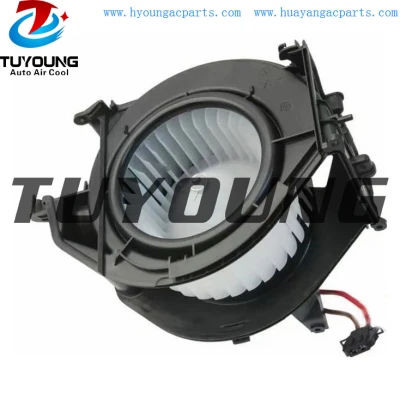 TUYOUNG wholesale Audi automotive air conditioning blower fan motor
