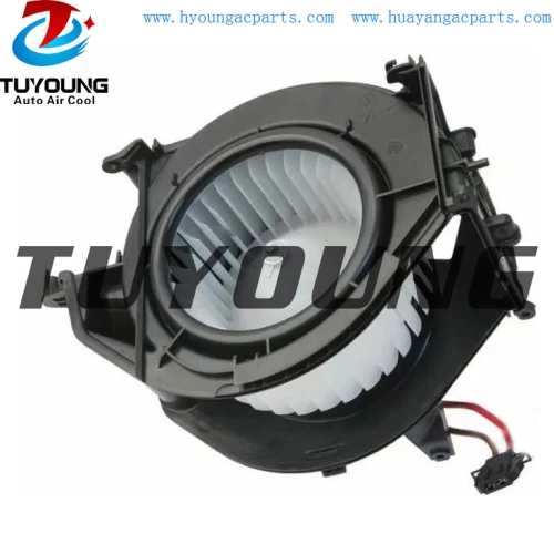 TUYOUNG wholesale Audi automotive air conditioning blower fan motor