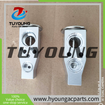 Volkswagen Golf auto ac expansion valves Audi A3 1.4L 1.8L 2.0L 5Q0820679E 5Q0820679C 39556 180498 5Q0816679B