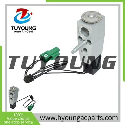 Factory directly sale Auto AC Expansion Valves Ford Transit  2.2L 3.7L 2014-2018 DV6Z19849C