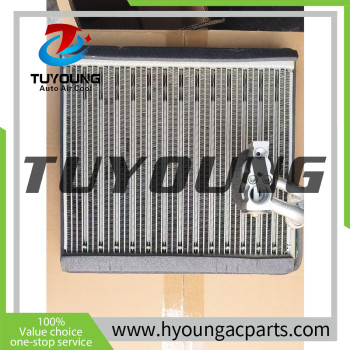 TUYOUNG HY-ET995 Auto ac Evaporator Core Acura AA447500-5000 Denso