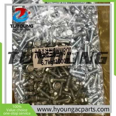 TuYoung 10pa auto ac compressor screw M6*1*20mm