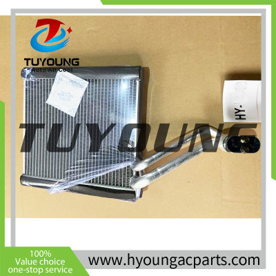 TuYoung Auto ac Evaporator cooling coil Rear fit Toyota Rush / Toyota Avanza 2014