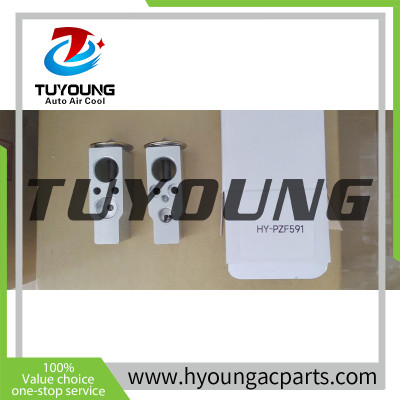 TUYOUNG brand new Auto AC Expansion Valve